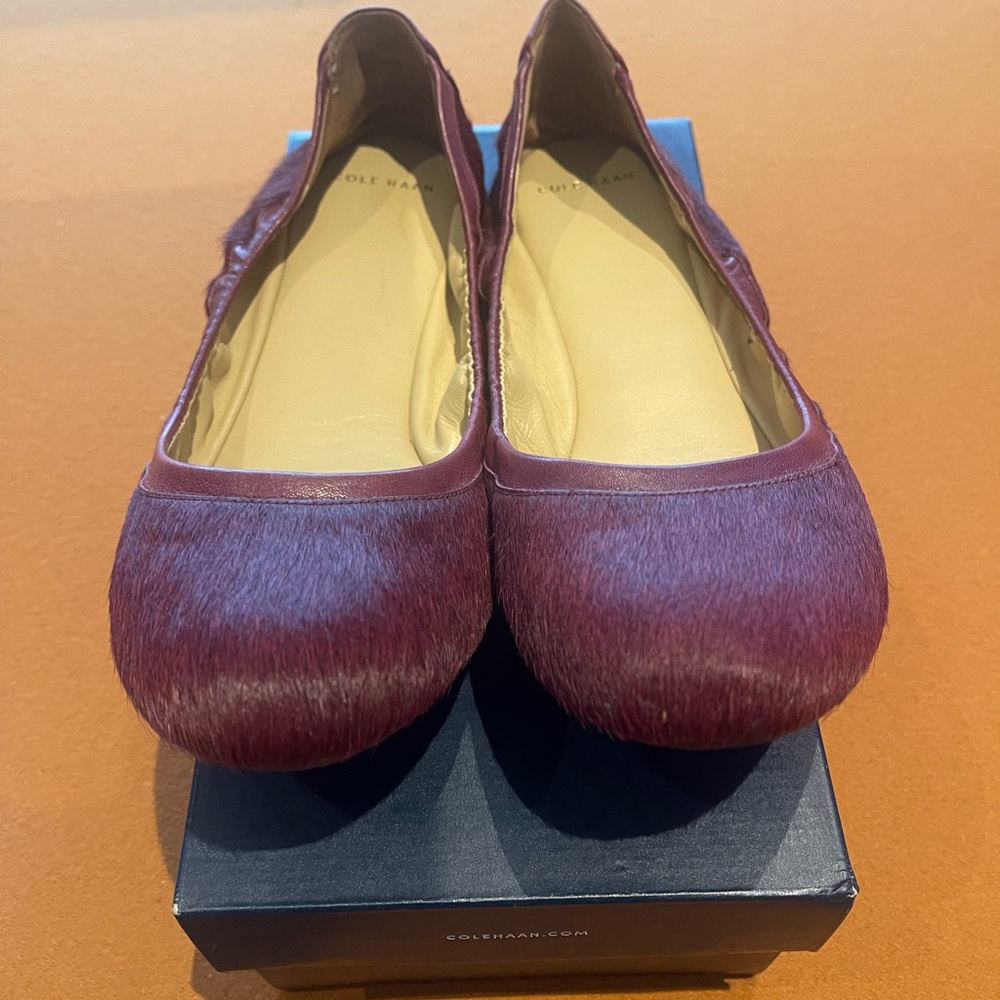 Cole haan ballerinas